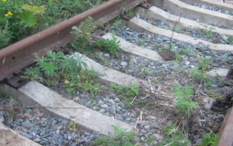 Криминальная парочка из Мурома украла полтонны рельсов