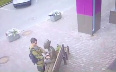 Владимирский вандал «надругался» над памятником земскому доктору