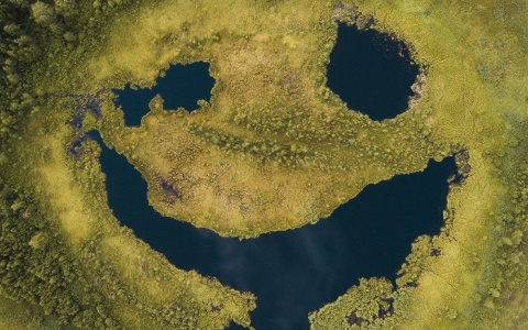 Уникальное фото природного явления во Владимирской области: болото "улыбнулось"!