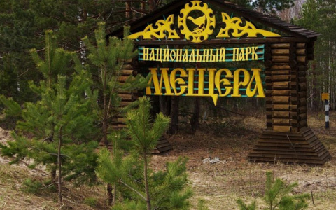 В национальном парке «Мещера» сняли реалити-шоу «Территория семьи»