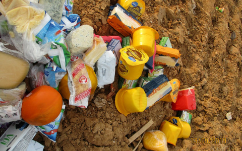 В Коврове уничтожили 190 килограмм санкционного сыра