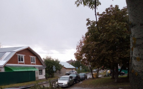 Стало известно, до скольки градусов поднимутся столбики термометров в пятницу