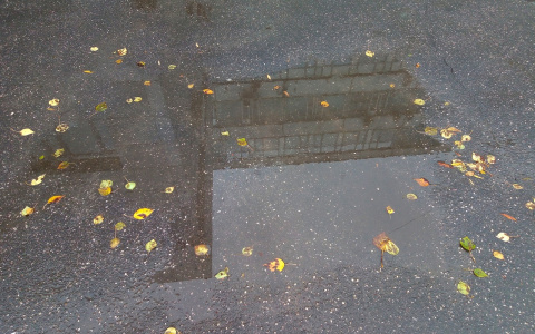 Какая погода ждет владимирцев 3 октября?