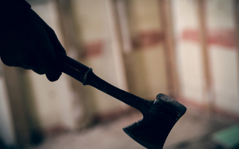 Восьмиклассник с топором ворвался в одну из школ Владимира