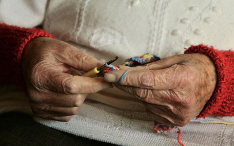 Владимирцам предлагают бесплатные услуги "Бабушки на час"