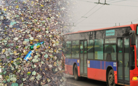 Общественный транспорт и парк, заваленный мусором: топ-5 жалоб владимирцев за неделю