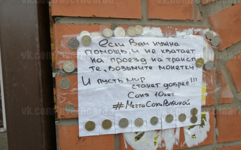 «Если не хватает денег на проезд, возьмите монетку» : эстафета доброты во Владимире
