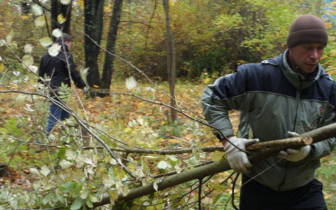 В дендрарии 33 региона прошла экологическая акция