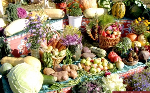 Необычная ярмарка открылась на улице Юбилейной