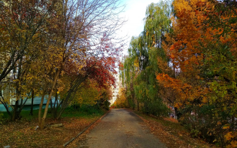 Ноябрьские и новогодние праздники: в каких числах смогут отдохнуть владимирцы?