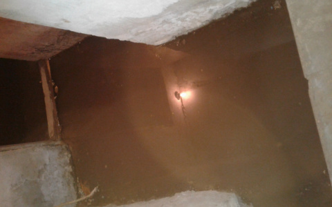 «Почему мы должны вдыхать запах фекалий?»: сточные воды в подвале владимирского дома