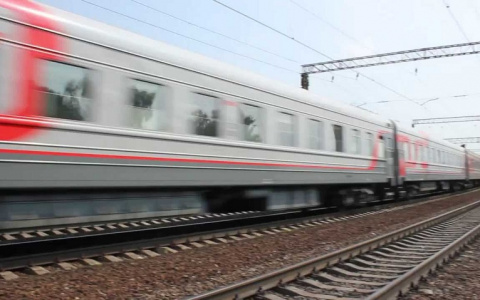 За подделку проездного - за решётку на полгода