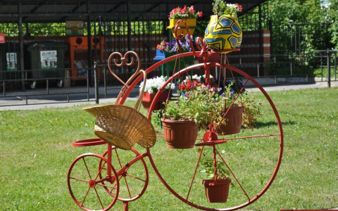 136 дворов Владимирской области преобразились до неузнаваемости