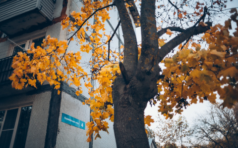 Погода во Владимире на 18 октября