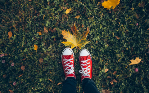 Погода во Владимире на 19 октября