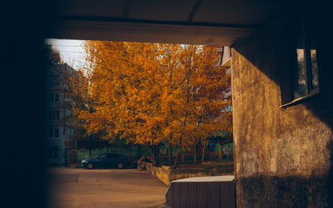 Погода во Владимире на 22 октября