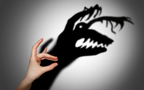 Чего сильнее всего боятся владимирцы?