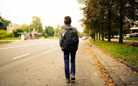 Житель Владимира отсудил у подростка 60 000 рублей за хулиганство