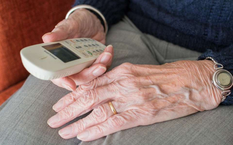 Владимирских пенсионеров дурил "родственничек" из Новосибирска