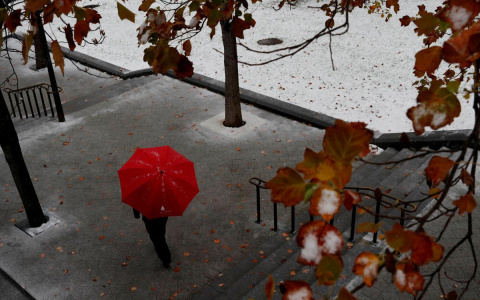 Владимир снегам не верит. Погода запутала город