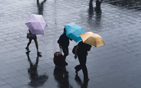 Когда во Владимир вернутся холода?