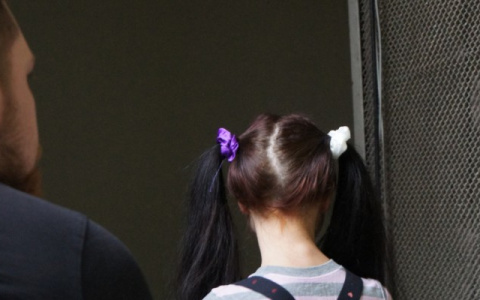 Во Владимирской области домофонный звонок помешал изнасилованию ребенка