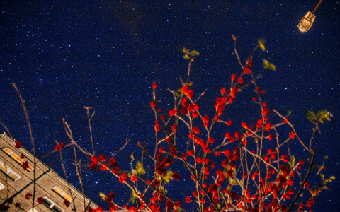 Необычное астрономическое явление смогут сегодня наблюдать владимирцы