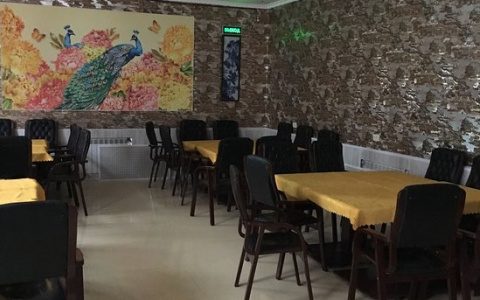 Кафе в центре Владимира попалось на жуткой антисанитарии