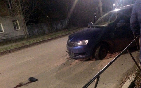В Муроме водитель сбил женщину, прогуливающуюся с собакой
