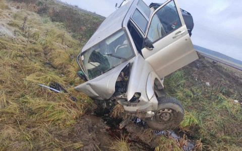 Во Владимирской области в ДТП погибли двое взрослых и пострадали 12 детей