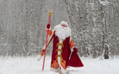 Во Владимире с размахом отпразднуют День Рождения Деда Мороза (афиша)