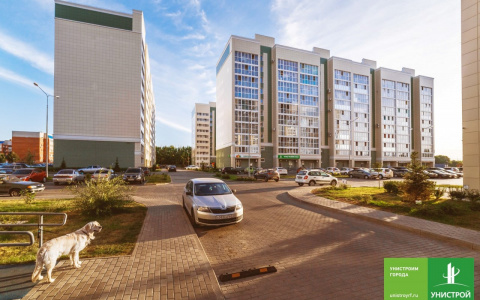 Покупка квартиры от застройщика: что нужно знать