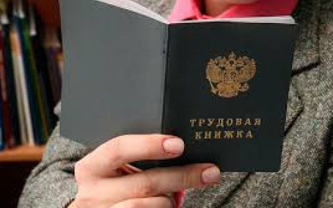 Во Владимирской области введут электронные трудовые книжки