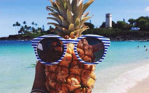 Декабрь дал сбой. Во Владимире плюсовая температура и дожди