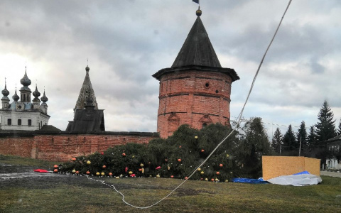 Во Владимирской области упала новогодняя елка