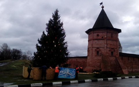 Упавшую во Владимирской области ель вновь установили