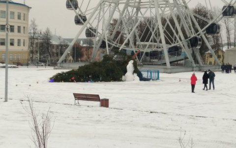 В Центральном парке Владимира упала новогодняя елка