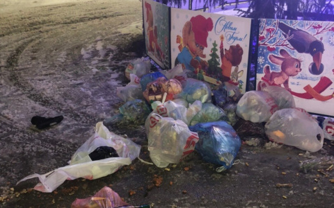 Пресс-секретарь Сипягина прокомментировала выброс мусора под окна Белого дома