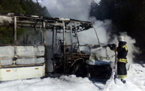 За год на владимирских дорогах погибло 260 человек