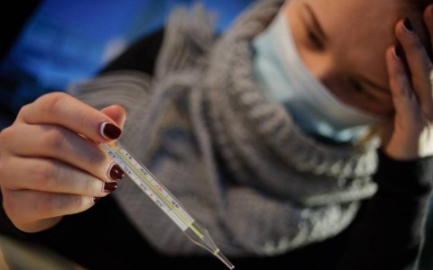 Жителей Владимирской области “атакуют” два вида гриппа