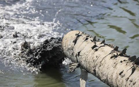 Парк-отель во Владимире загрязнял озеро сточными водами