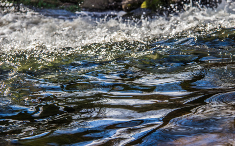 В Клязьме нашли тело убитого мужчины
