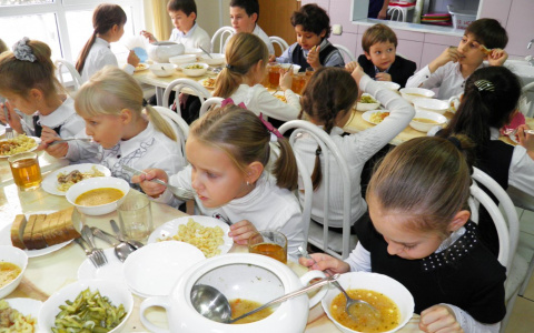 На питание школьников Владимирская область получит 227 миллионов рублей