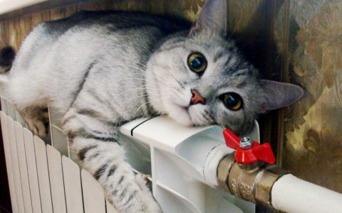 В квартиры жителей Владимира вернули отопление