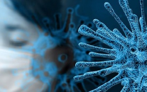 Гипотетические носители коронавируса свободно передвигаются по региону