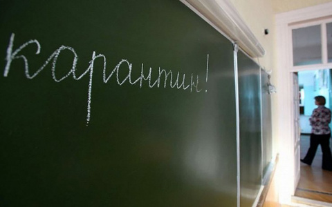 7 школ Владимирской области закрыли на карантин