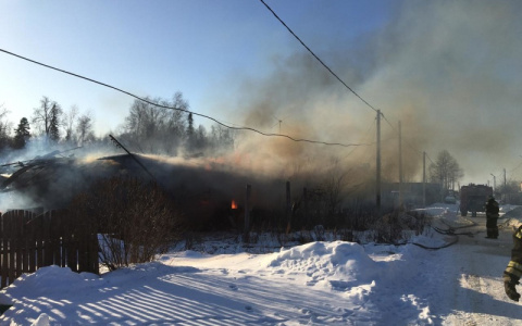 На крупном пожаре в Петушинском районе пострадал человек