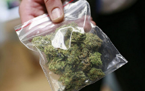 Под Владимиром мужчину задержали со 100 граммами марихуаны