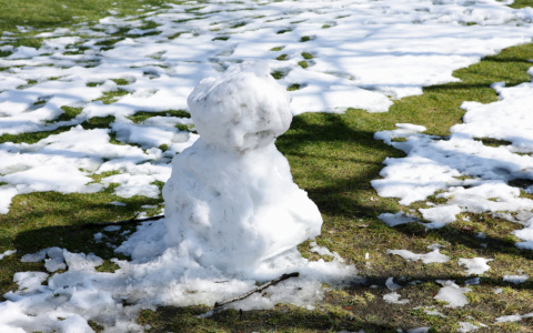 Гидрометцентр назвал причину аномально теплой зимы