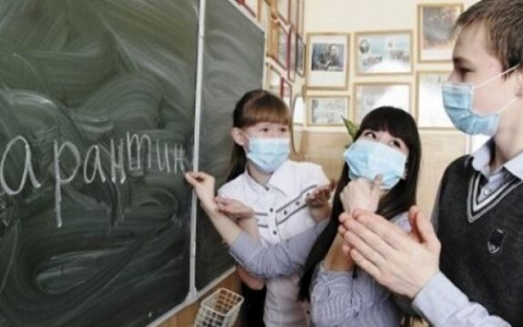 Более чем в 20 школах Владимирской области объявили карантин